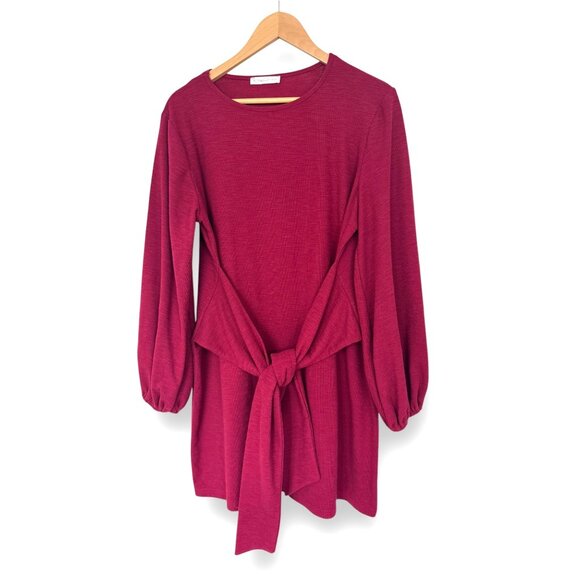 Size 2XL 18 20 Rose Tie-Front Short Dress Lantern Sleeves Spring Party Plus Size - Picture 2 of 5